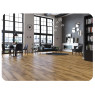Classen Legend 4V WR (33/8) Classen Legend 4V WR (33/8)