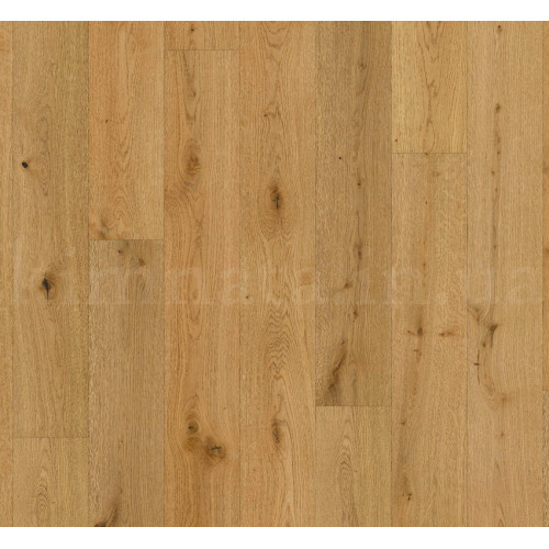 Паркетная доска Parador Дуб Soft texture рустик масло Natur Plus 1739902