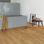Ламинат Quick-Step Дуб классический натуральный Impressive IM1848