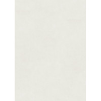 Біопол Wineo Purline 1500 PL Fusion XL Cool one PL107C