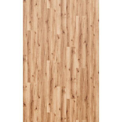 SPC покрытие REPUBLIC ELEMENTS REELCF003