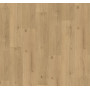 Дизайнерский пол SPC Parador Basic 5.3 Oak Infinity natural 1744607