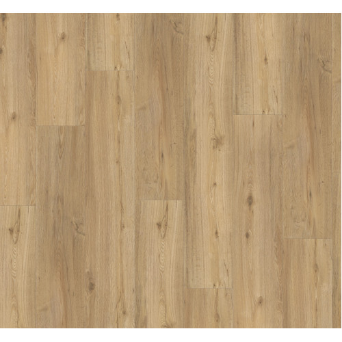 Дизайнерский пол SPC Parador Basic 5.3 Oak natural Brushed 1743004