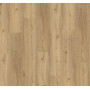 Дизайнерский пол SPC Parador Basic 5.3 Oak natural Brushed 1743004