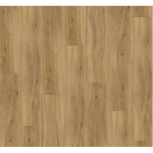 Дизайнерский пол SPC Parador Basic 5.3 Oak Sierra natural 1743007