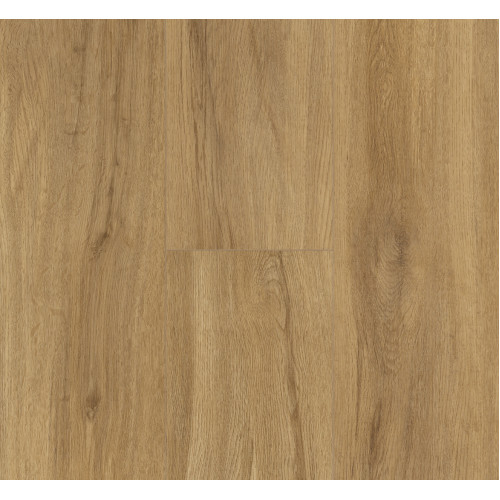 Дизайнерский пол SPC Parador Basic 5.3 Oak Sierra natural 1743007