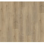 Дизайнерский пол SPC Parador Basic 5.3 Royal Oak light limed 1743006