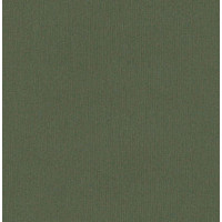 Вінілові шпалери AdaWall Beta 1106-6 Хакі