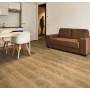 Виниловое покрытие Forbo Enduro 69101 Pure oak (2 мм)