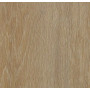 Виниловое покрытие Forbo Enduro 69120 Golden oak (2 мм)