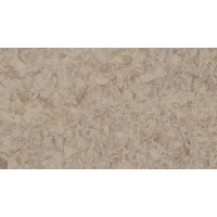 Гомогенное покрытие ПВХ Tarkett iQ Megalit DARK SAND 0610