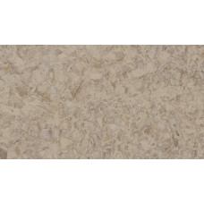 Гомогенное покрытие ПВХ Tarkett iQ Megalit DARK SAND 0610