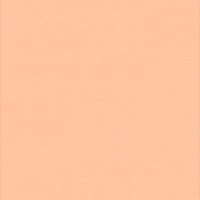 Гомогенное покрытие ПВХ WALLGARD ORANGE