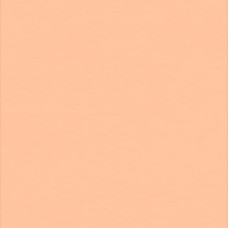 Гомогенное покрытие ПВХ WALLGARD ORANGE
