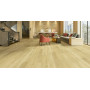 Виниловый пол Novocore Legacy LVT Ithaca 7590 (2,5 мм)