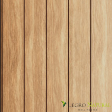 Фасадная доска Legro Golden Maple FS21