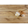 Виниловое покрытие Barlinek SPC LVT Next Step LARGE Desert Oak (6,0 мм)