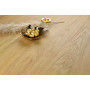 Виниловое покрытие Barlinek SPC LVT Next Step LARGE Gold Oak (6,0 мм)