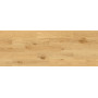 Виниловое покрытие Barlinek SPC LVT Next Step AURA Sophia Oak (5,2 мм)