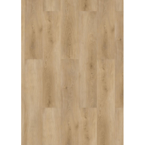 Виниловое покрытие SPC CHECK Basic BUCHRASEN OAK 2461 (4,5 мм)