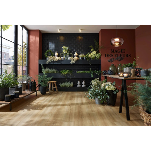 Вінілове покриття Wineo 800 DB Wood XL Bradford Oak Honey DB835WXL (2,5 mm)
